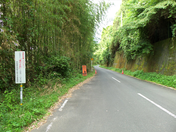 東部架設施工事例・道路災害防除工事(施工前)